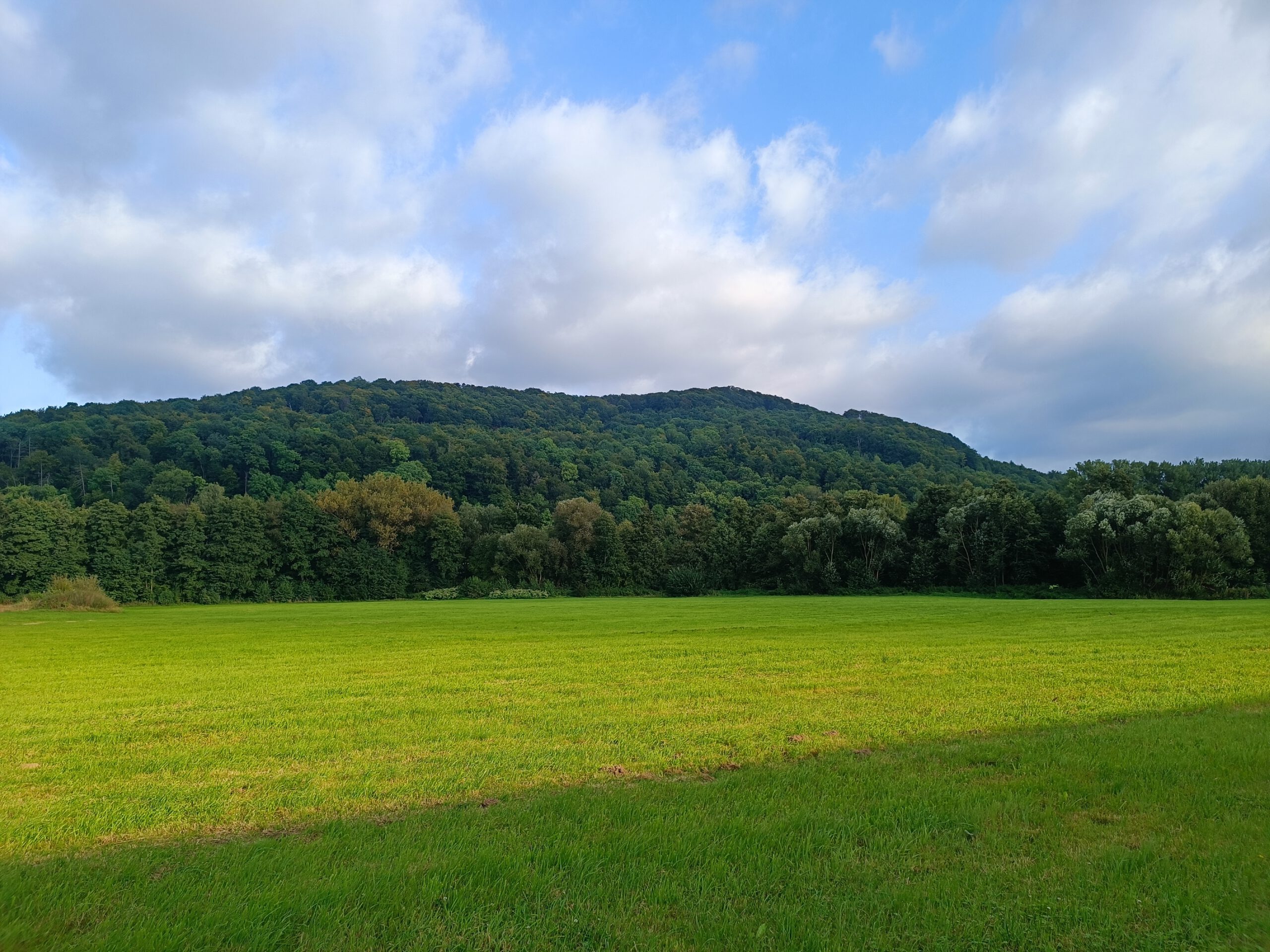 der Dasseler Burgberg